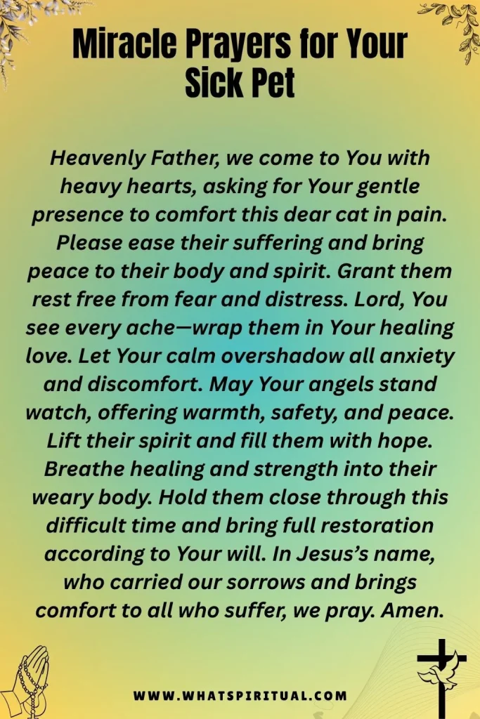 miracle-prayers-for-sick-pet