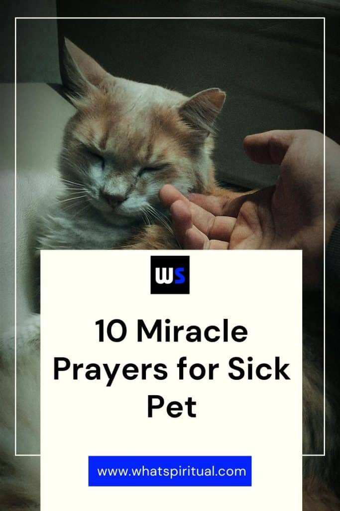 powerful-prayers-for-sick-pet