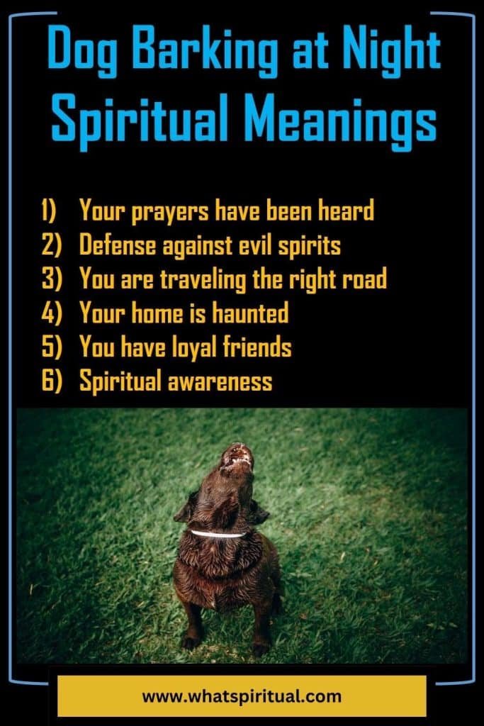 what-is-the-spiritual-meaning-of-dog-barking-crying-at-night