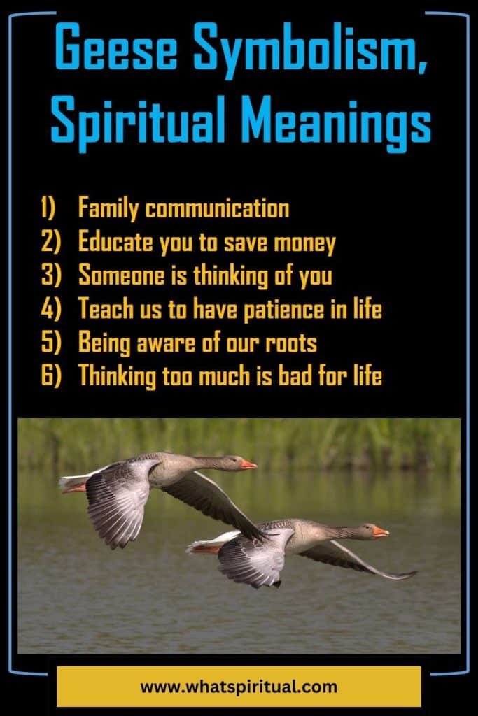what-is-the-spiritual-meaning-of-geese