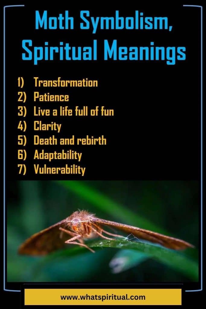 what-is-the-spiritual-meaning-of-moth-symbolism