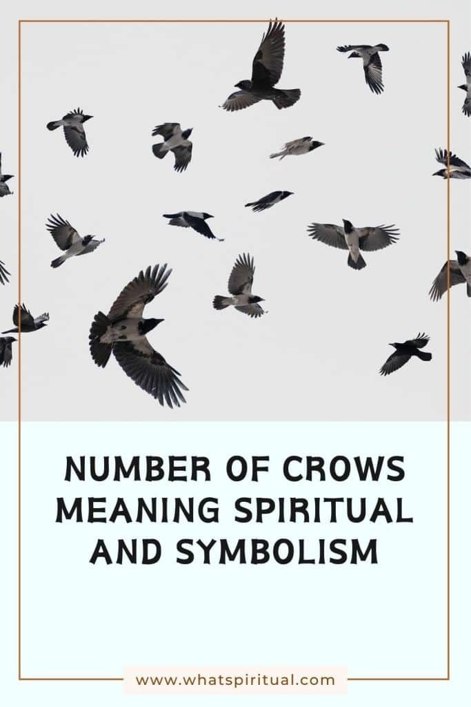 what-is-the-spiritual-meaning-of-seeing-number-of-crows-1-to-9