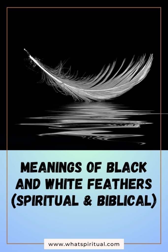 what-is-the-spiritual-meaning-of-black-and-white-feather