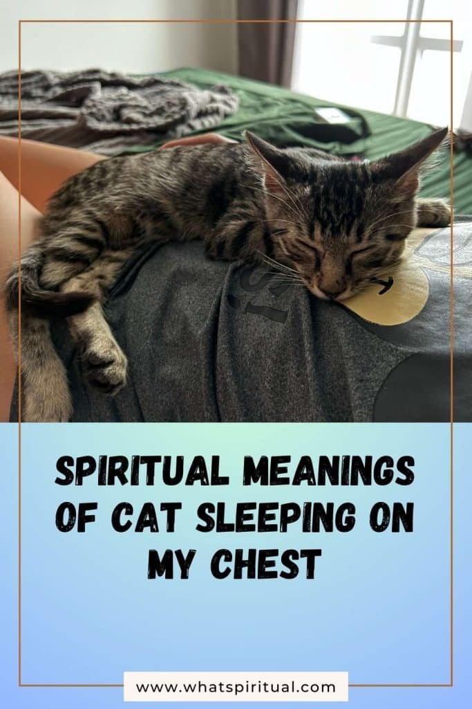 what-is-the-spiritual-meaning-of-cat-sleeping-on-my-chest