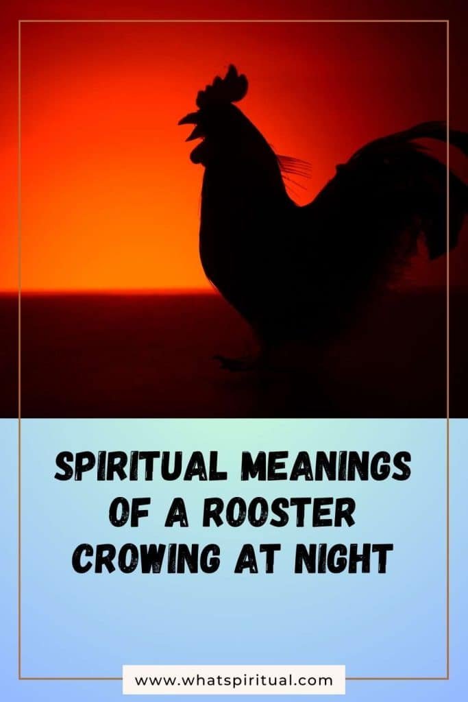 what-is-the-spiritual-meaning-of-a-rooster-crowing-at-night-superstitions