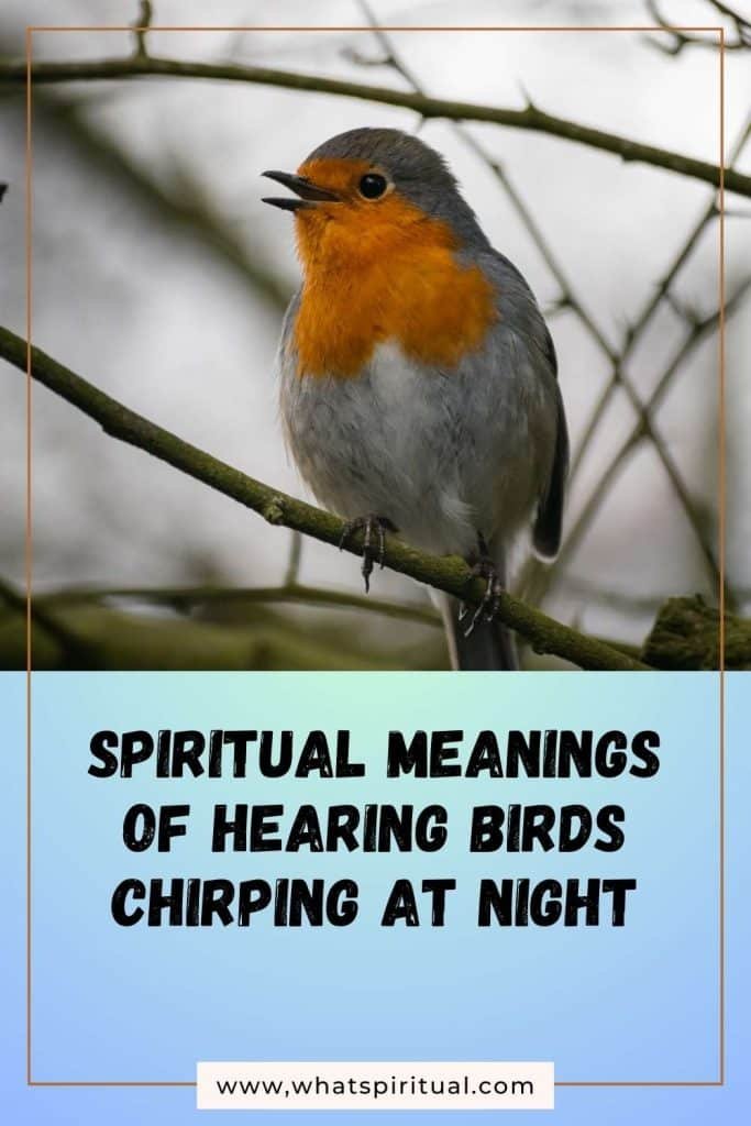 what-is-the-spiritual-meaning-of-hearing-birds-chirping-at-night