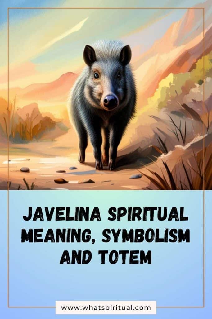 what-is-the-spiritual-meaning-of-javelina
