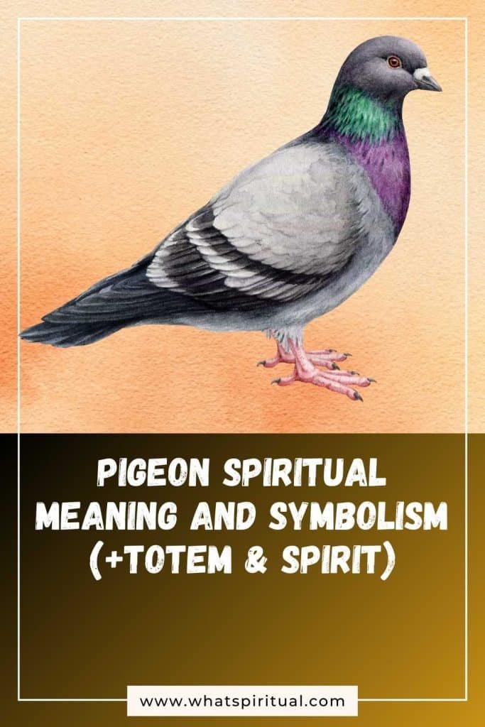 what-is-the-spiritual-meaning-of-pigeon-symbolism