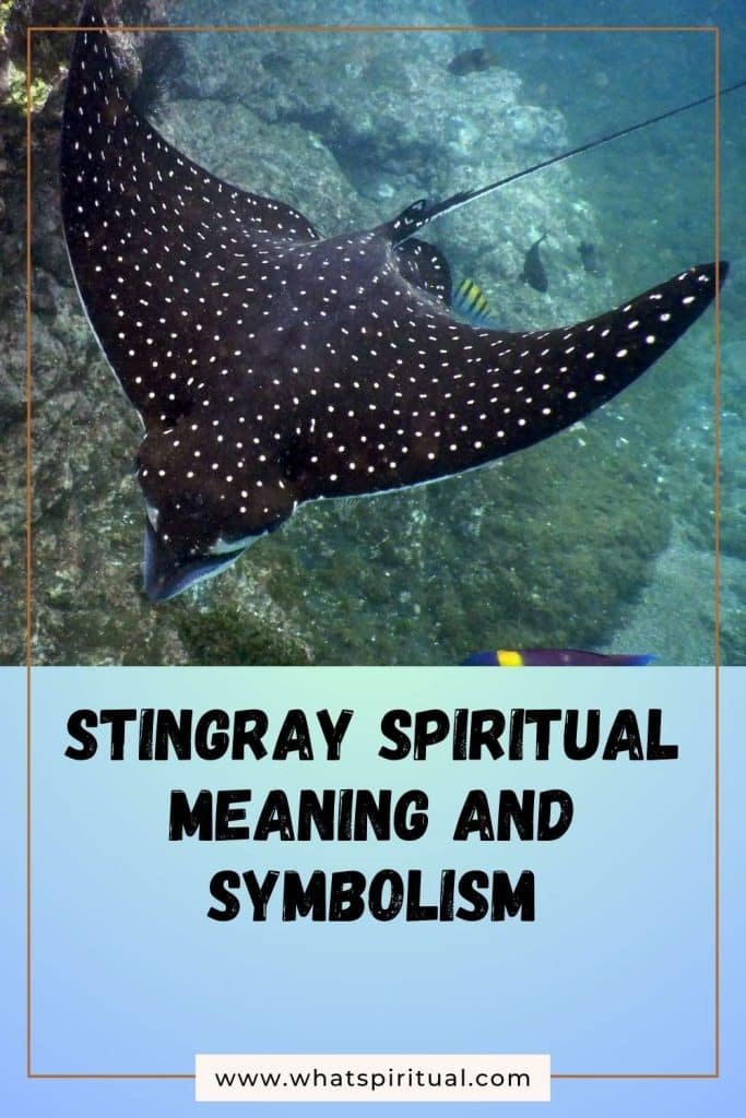 what-is-the-spiritual-meaning-of-stingray-and-symbolism