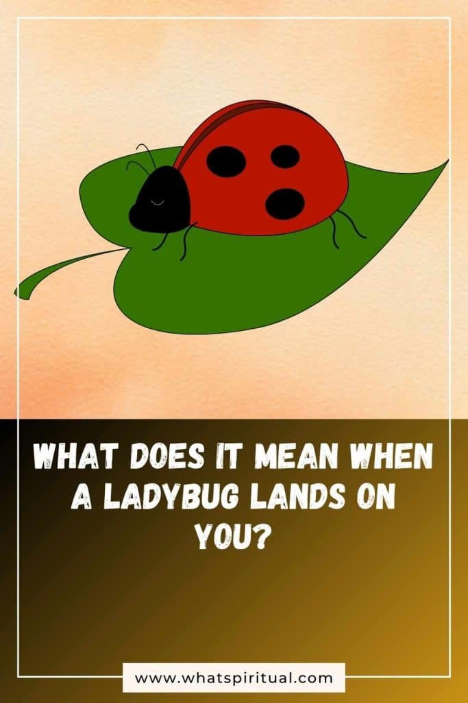 what-is-the-spiritual-meaning-of-ladybug-landing-on-you
