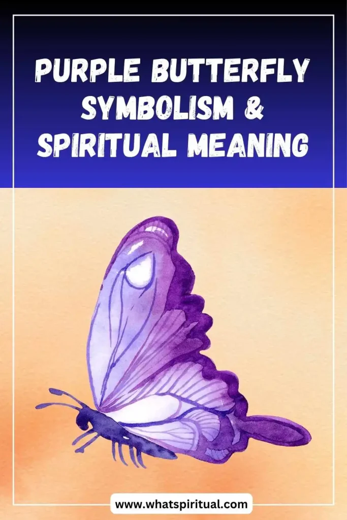 what-is-the-spiritual-meaning-of-purple-butterfly
