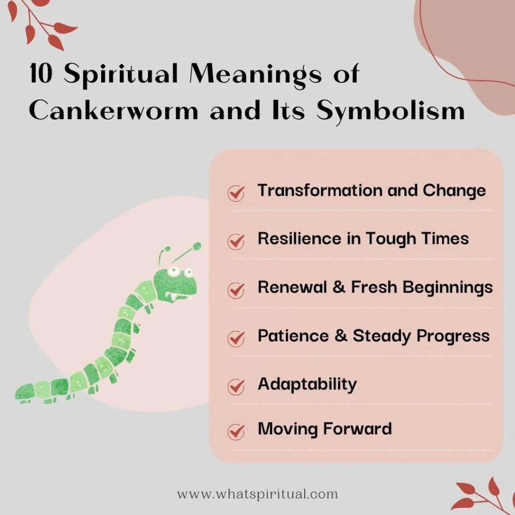 spiritual-meaning-of-cankerworm-and-its-symbolism